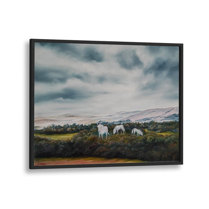 SERENE MOORLAND PONIES