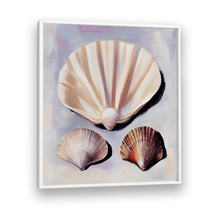 SOFT SCALLOP SHELLS