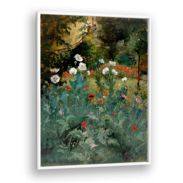POPPIES