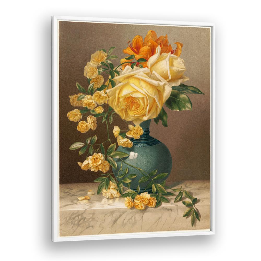 MARCHAL NIEL ROSES