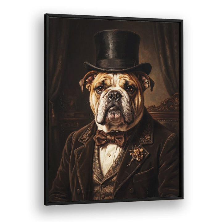 THE DISTINGUISHED BULLDOG