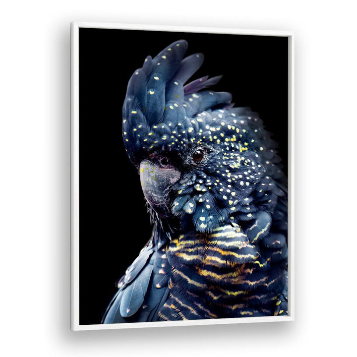 YELLOW SPOTTED COCKATOO