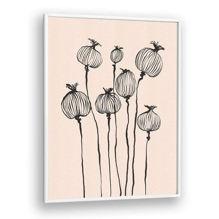 GRACEFUL POPPY PODS