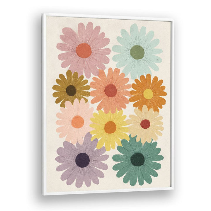 COLORFUL DAISY BLOOMS