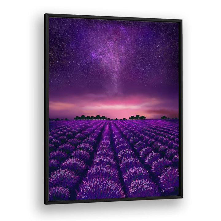 STARRY LAVENDER FIELDS