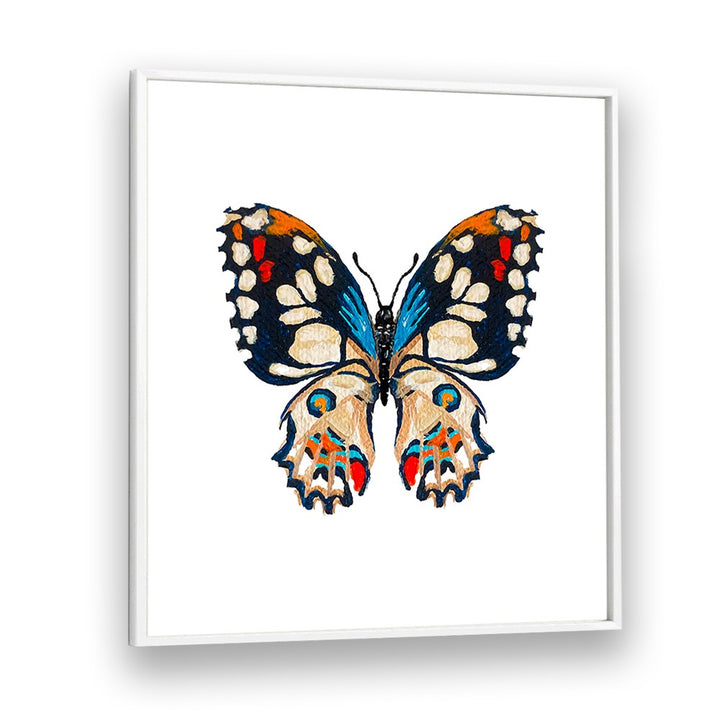 VIVID BUTTERFLY ILLUSTRATION