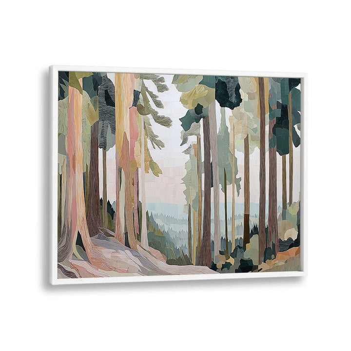 SUNLIT PATH THROUGH REDWOOD GROVE