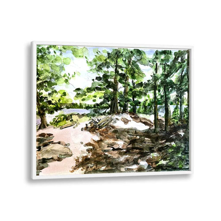 SUNLIT WOODLAND PATH