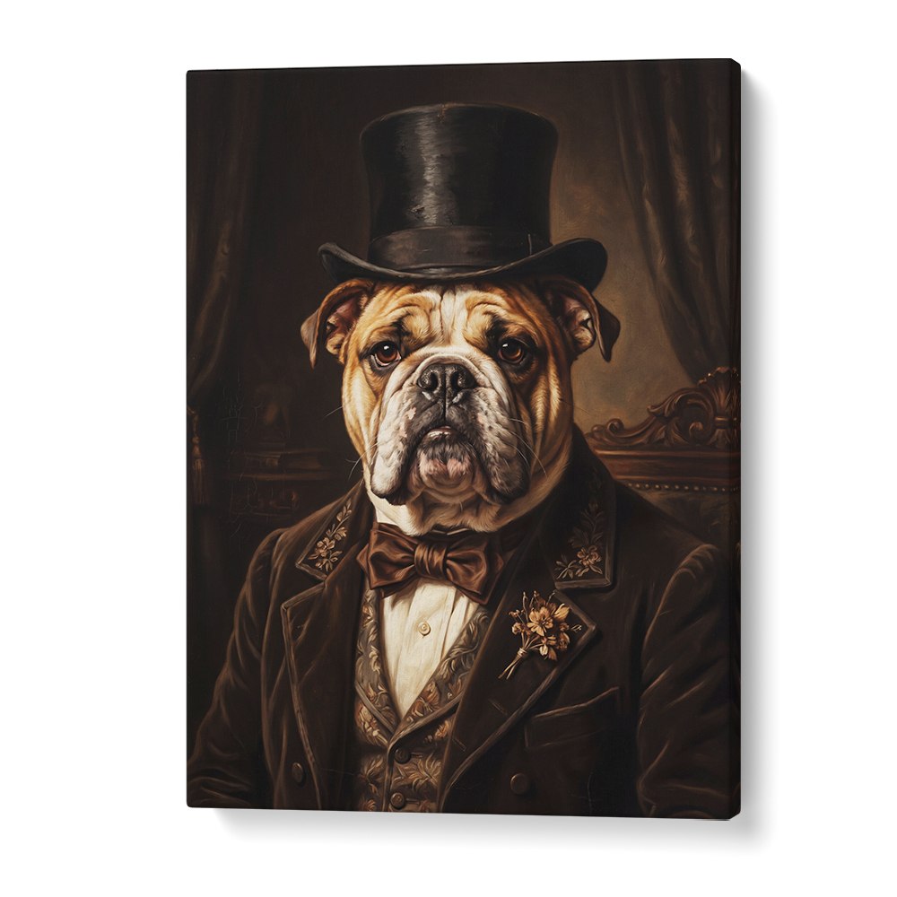 THE DISTINGUISHED BULLDOG