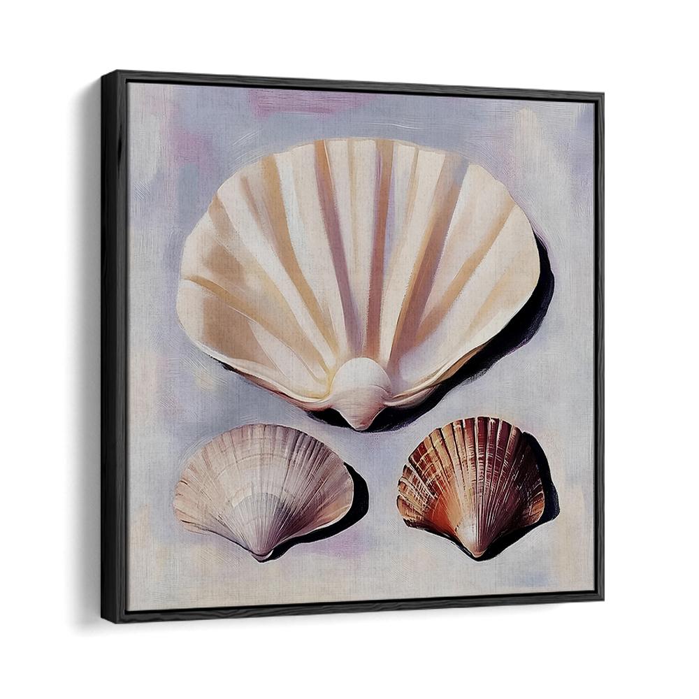 SOFT SCALLOP SHELLS