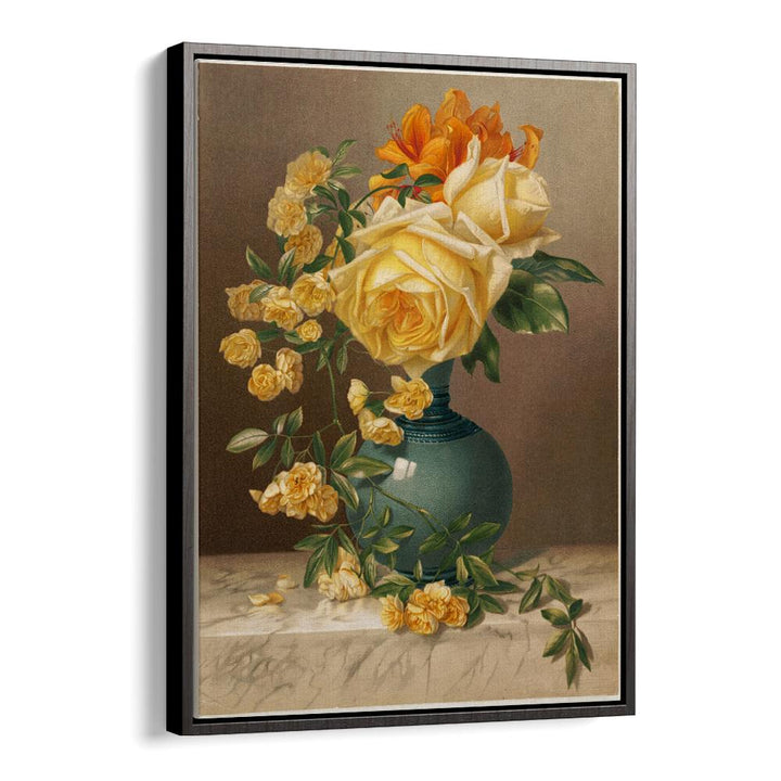 MARCHAL NIEL ROSES