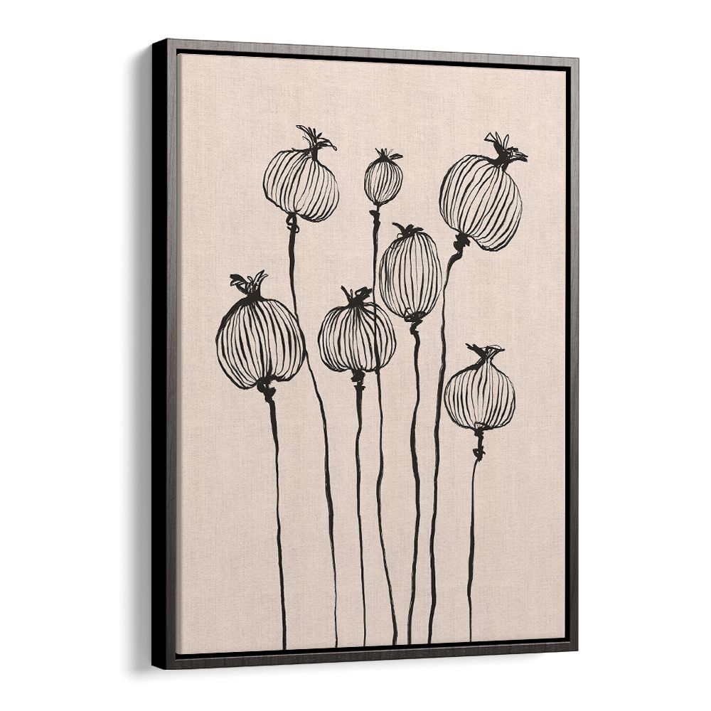GRACEFUL POPPY PODS