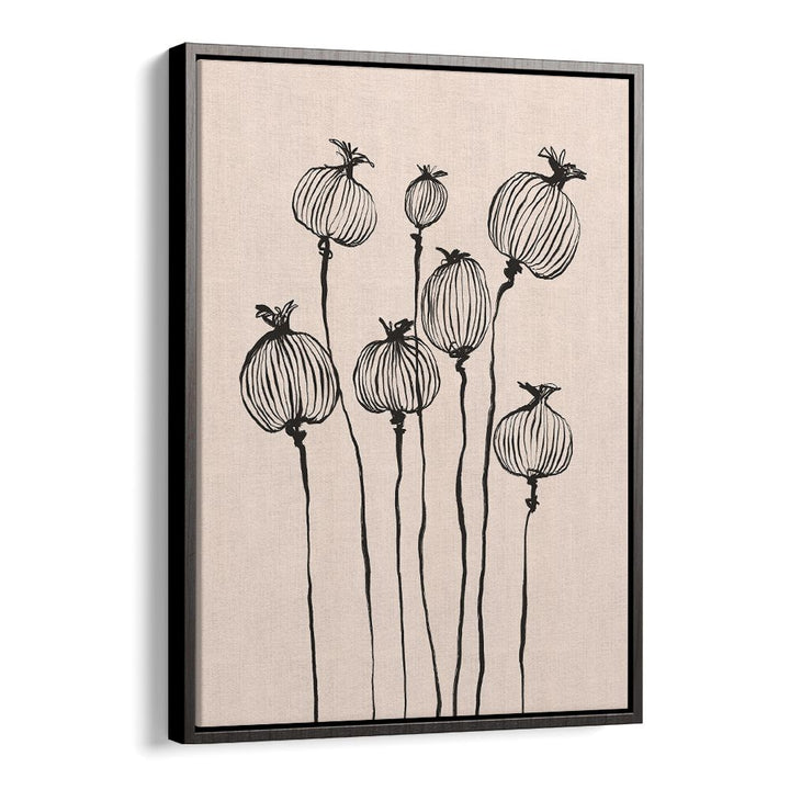 GRACEFUL POPPY PODS