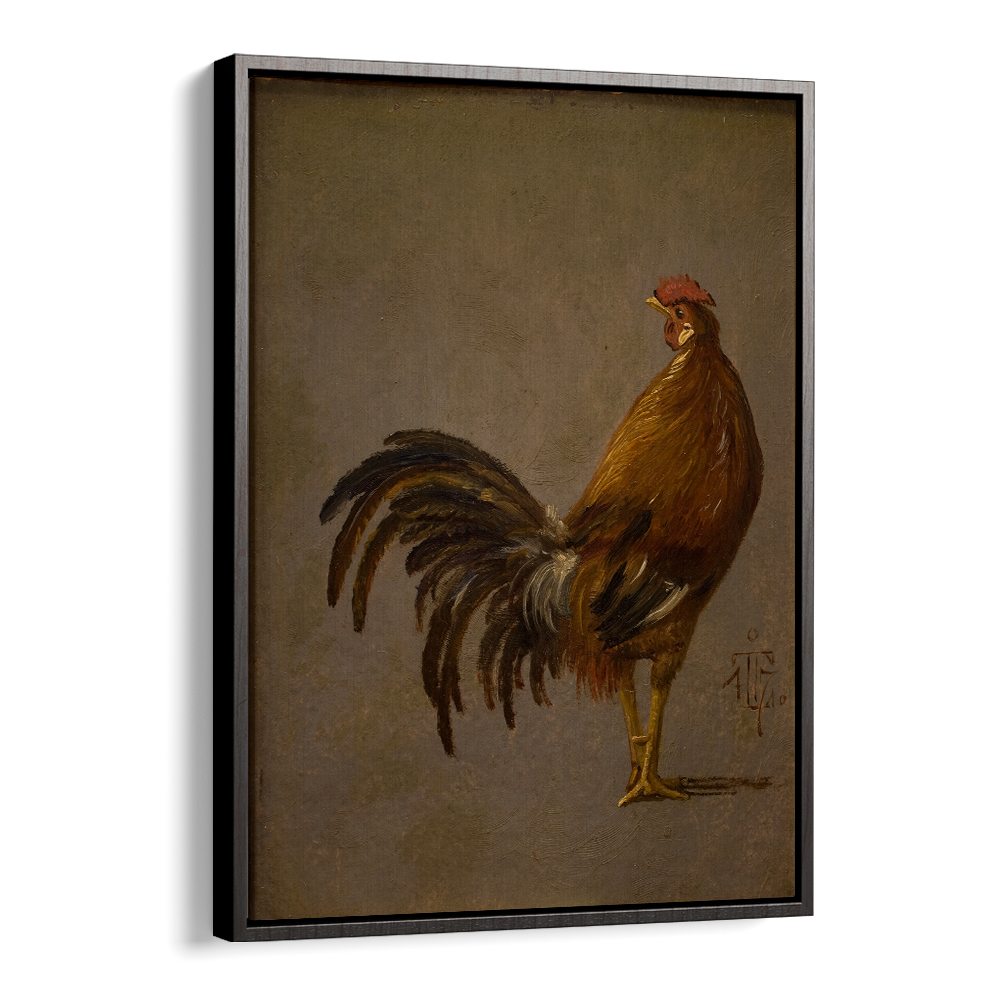 A COCK