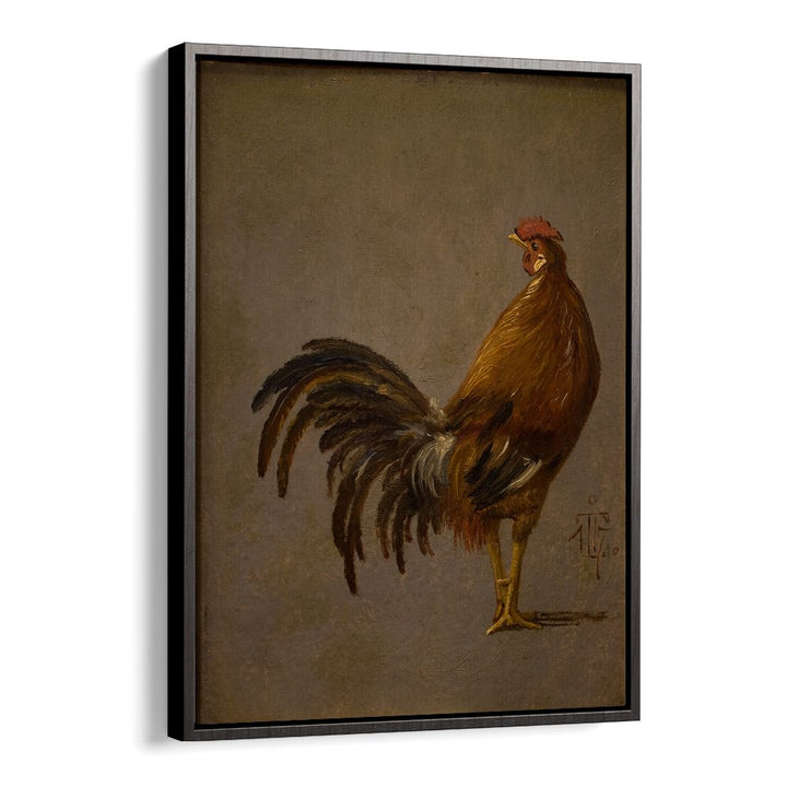 A COCK