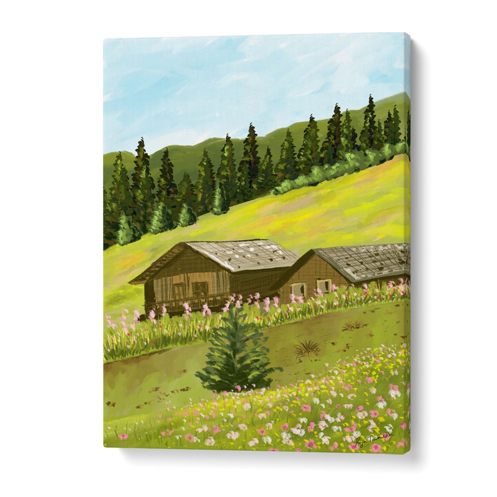 MOUNTAIN CABINS