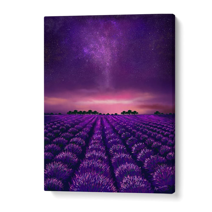 STARRY LAVENDER FIELDS