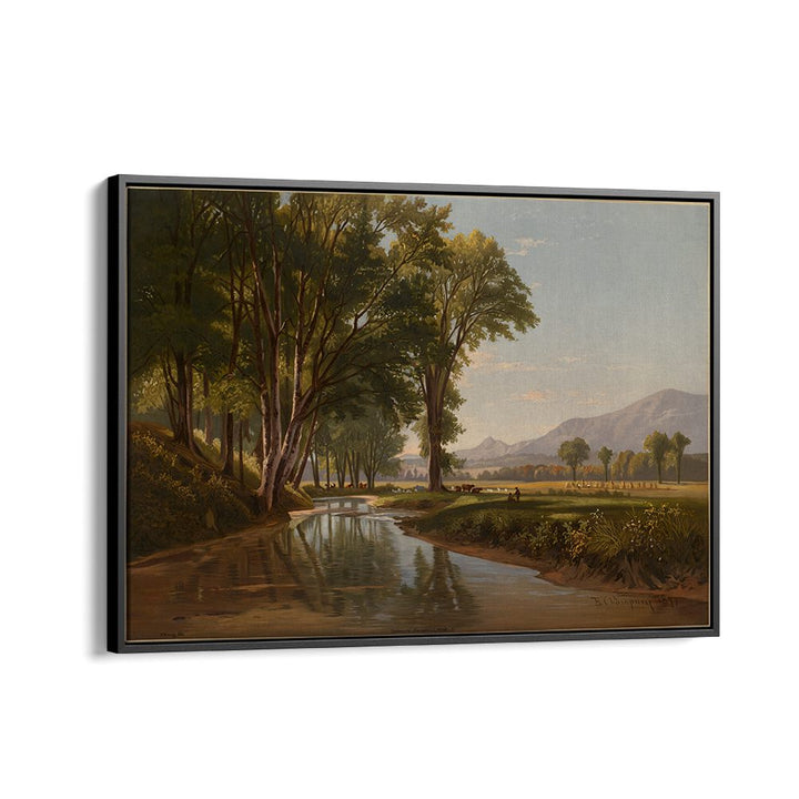 CONWAY MEADOWS , VINTAGE LANDSCAPE