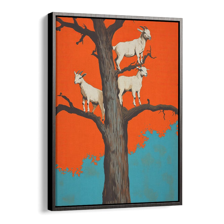 GOATS ON A ORANGE TREE