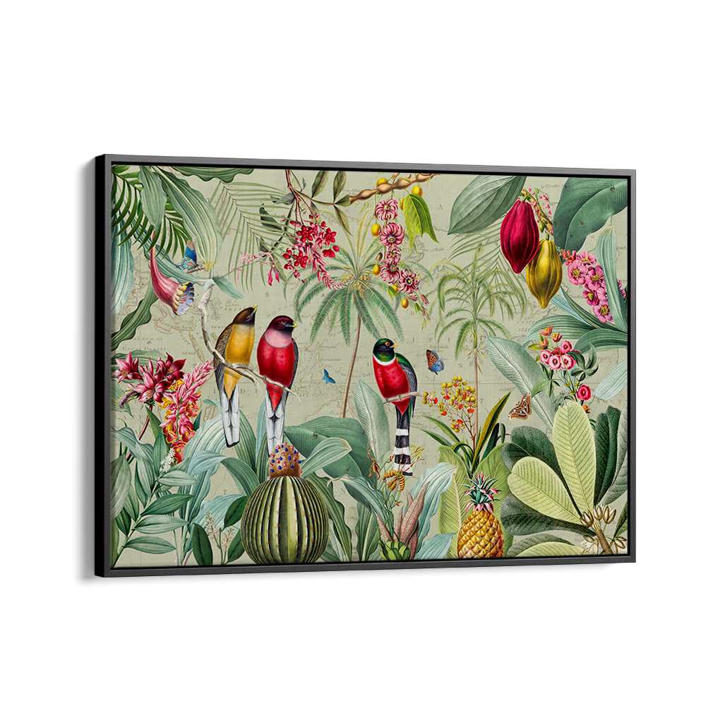 TROPICAL JUNGLE BIRDS