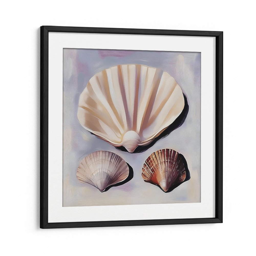 SOFT SCALLOP SHELLS