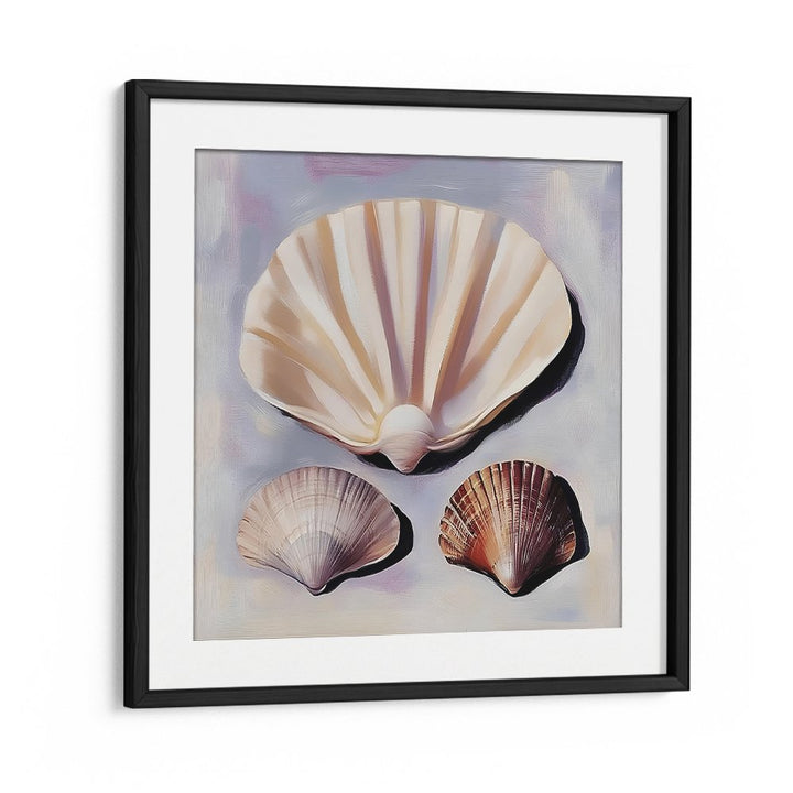 SOFT SCALLOP SHELLS