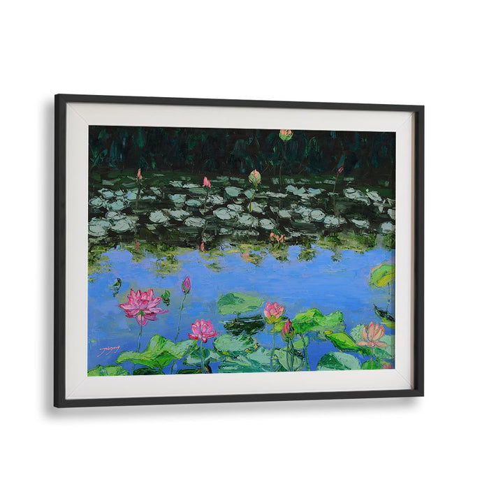 PINK LOTUS REFLECTIONS