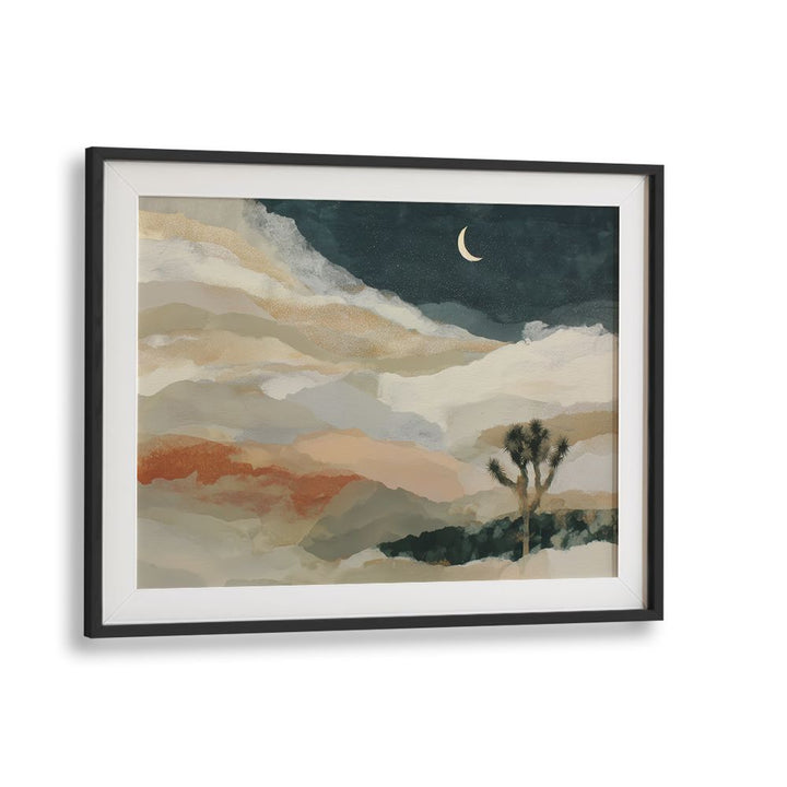JOSHUA TREE UNDER STARRY SKIES