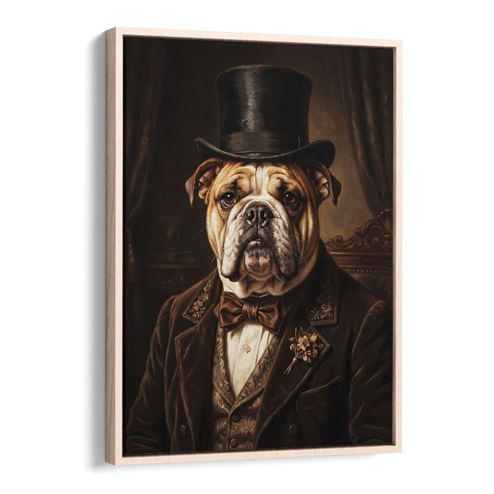 THE DISTINGUISHED BULLDOG