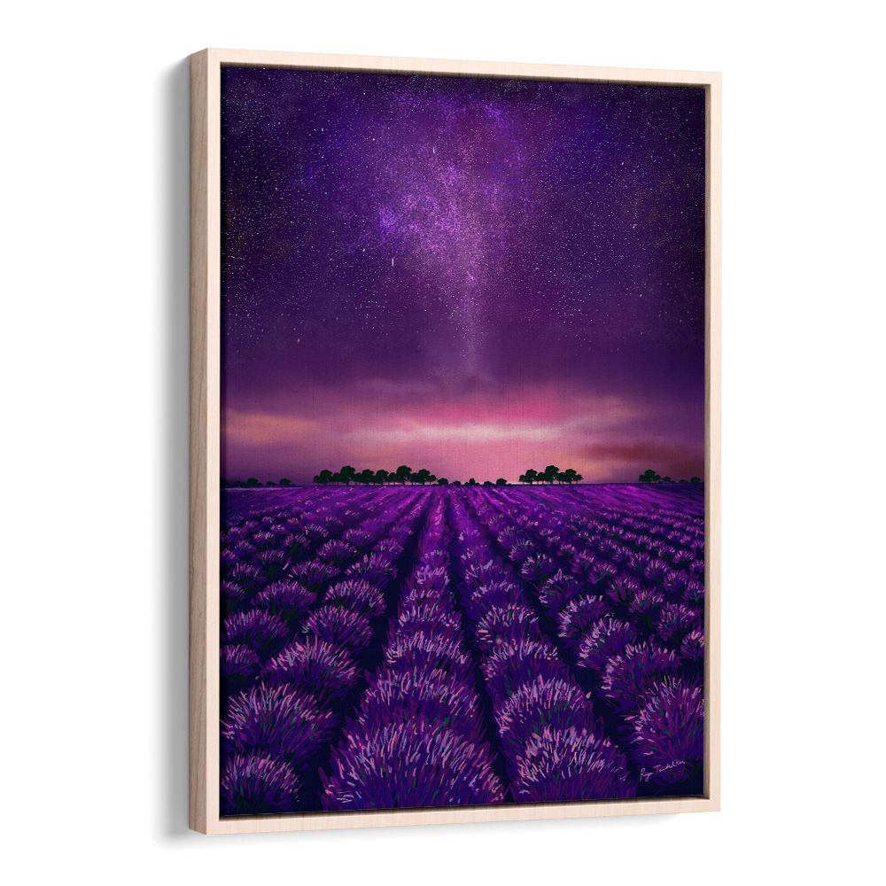 STARRY LAVENDER FIELDS