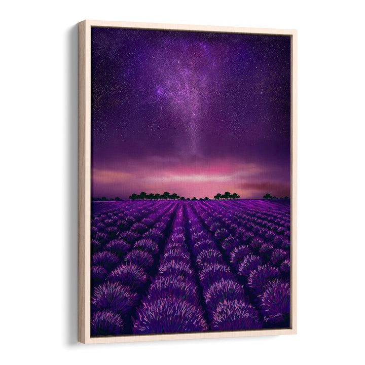 STARRY LAVENDER FIELDS
