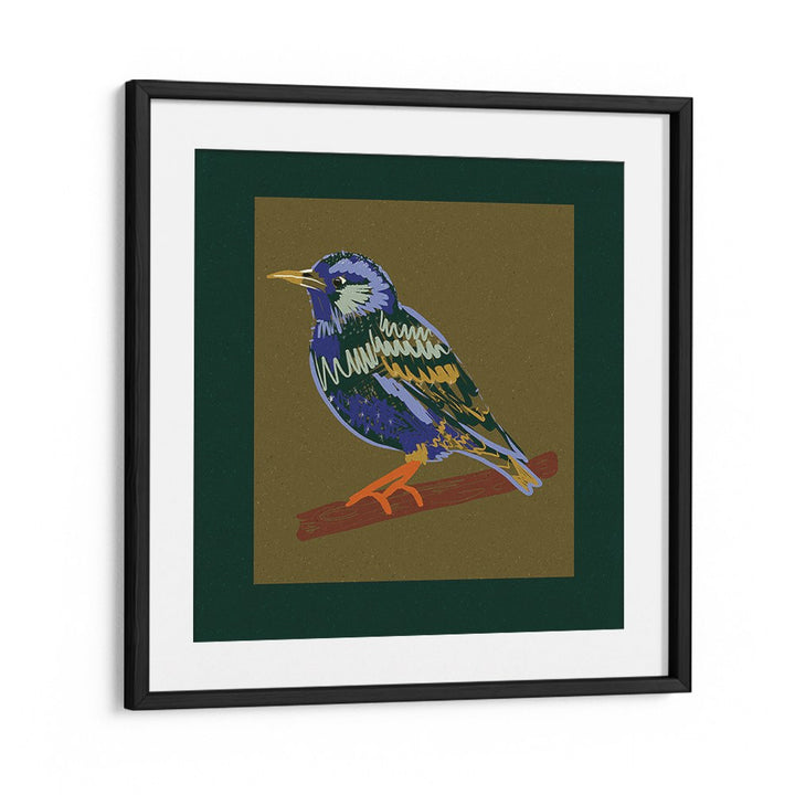 VIBRANT STARLING PERCH