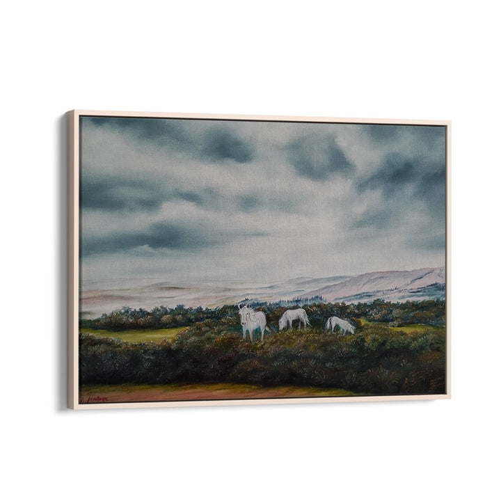 SERENE MOORLAND PONIES