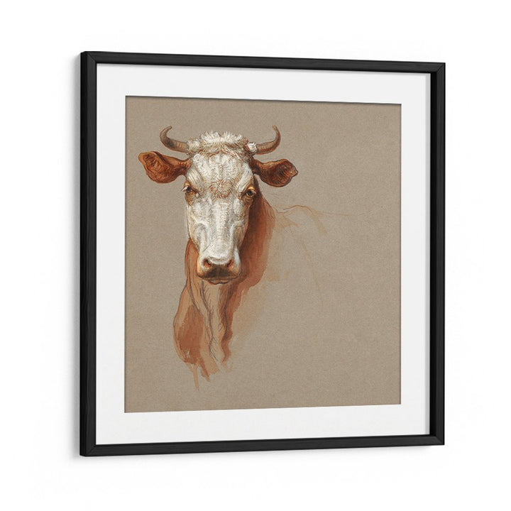 TWO STUDIES OF CATTLE (1876)