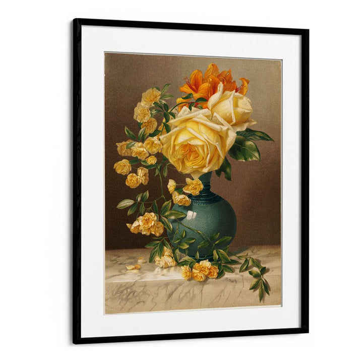 MARCHAL NIEL ROSES