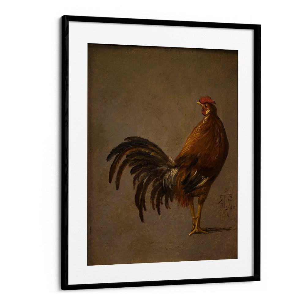 A COCK