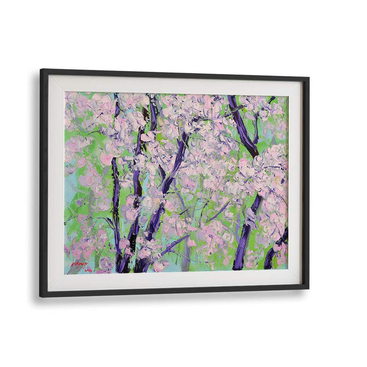 BLOOMING CHERRY TREES