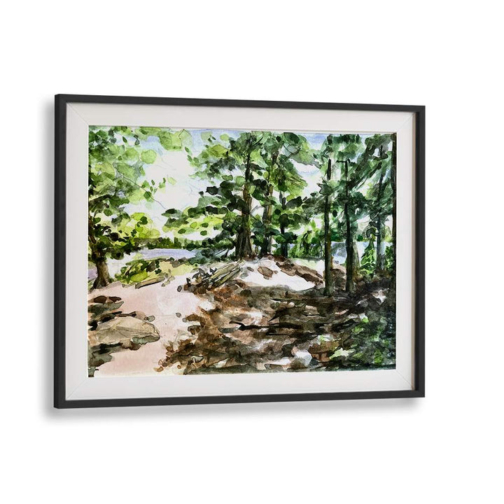 SUNLIT WOODLAND PATH