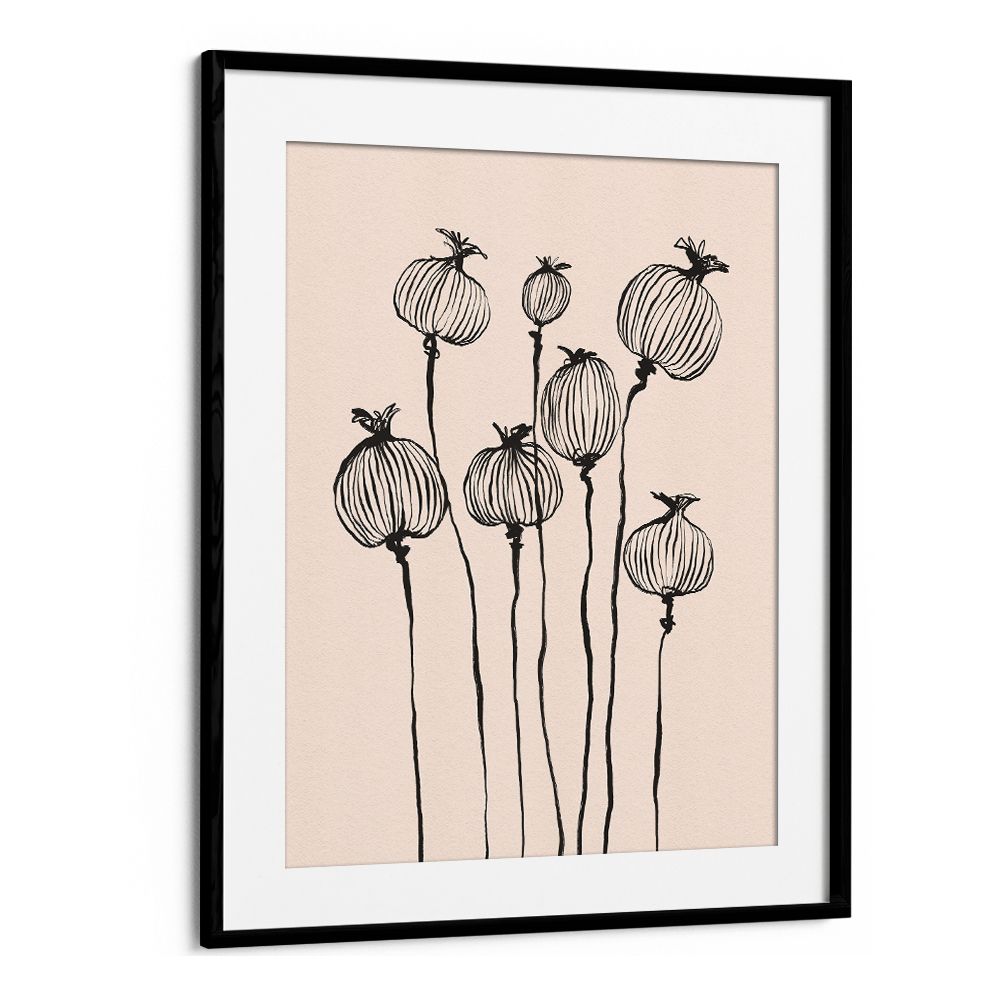 GRACEFUL POPPY PODS
