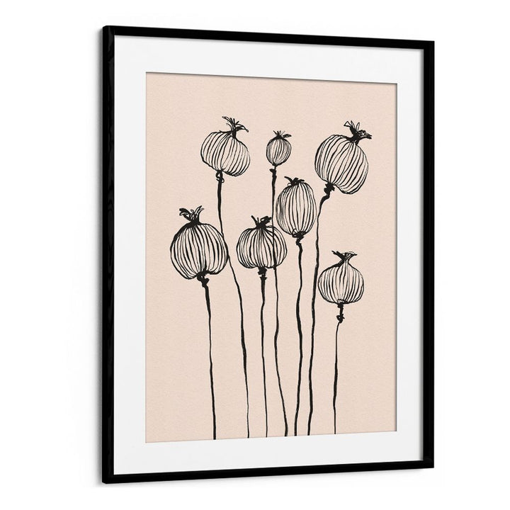 GRACEFUL POPPY PODS
