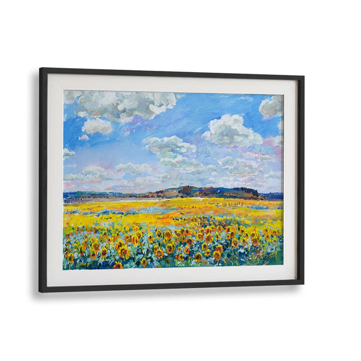 SUNLIT SUNFLOWER FIELD