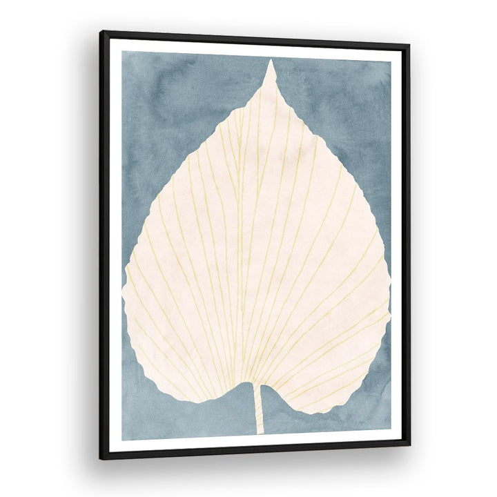 SOFT BLUE FAN LEAF
