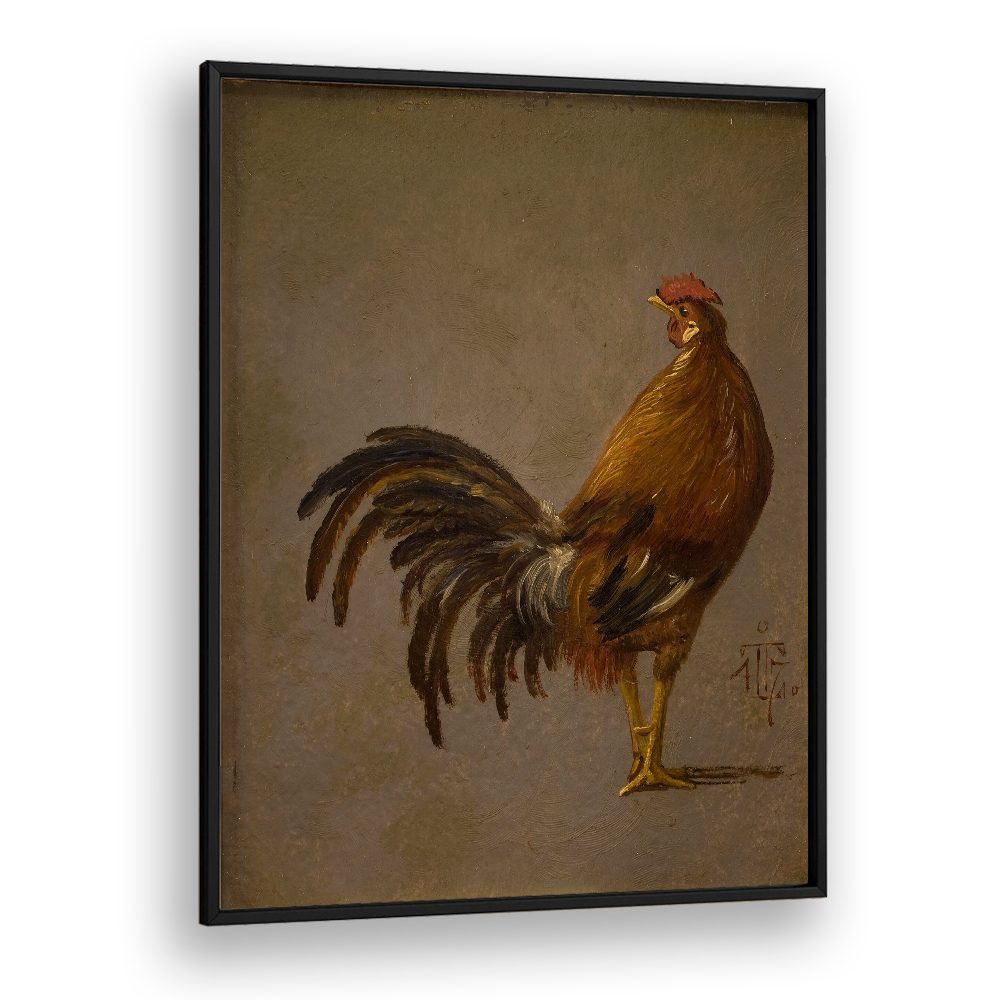A COCK