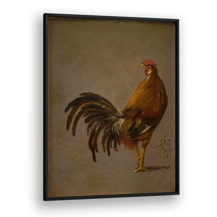A COCK