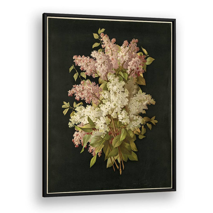 BOUQUET OF LILACS