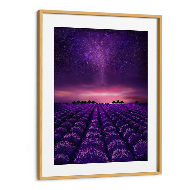 STARRY LAVENDER FIELDS