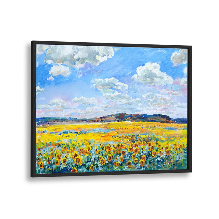 SUNLIT SUNFLOWER FIELD
