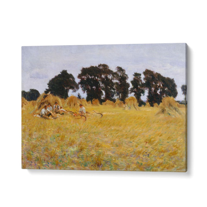 REPARS RESTING IN A WHEAT FEILD