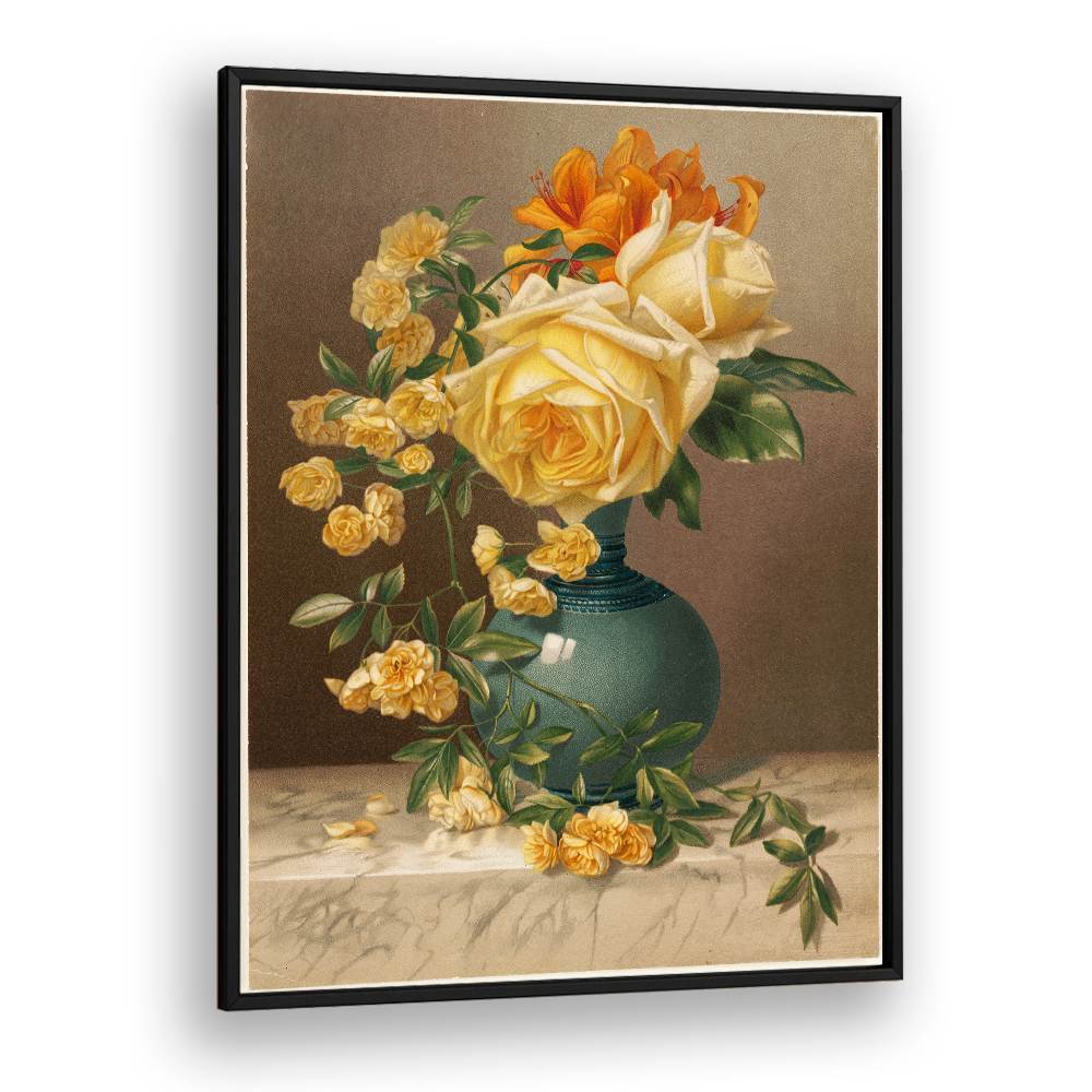 MARCHAL NIEL ROSES
