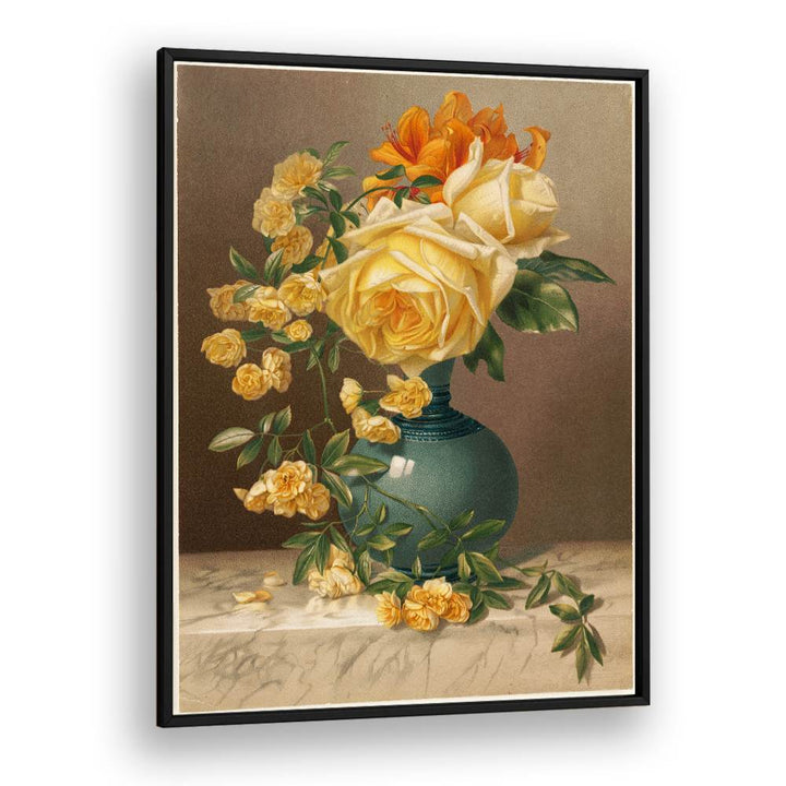 MARCHAL NIEL ROSES